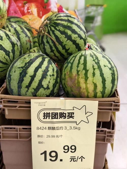 今日麒麟瓜批发价格,品质与价格的完美结合