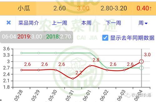 今日小瓜走势分析最新,洞察今日走势，揭秘未来趋势