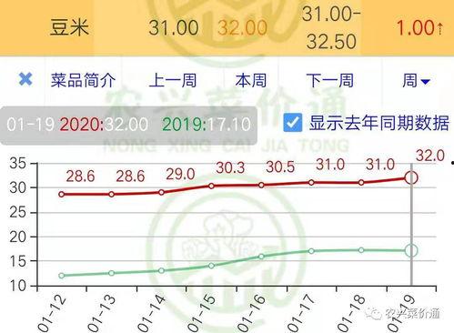今日小瓜走势分析最新,洞察今日走势，揭秘未来趋势