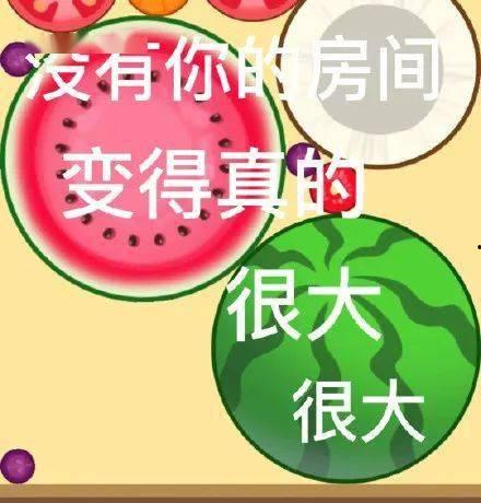 今日分享吃瓜文案搞笑图片,搞笑图片带你轻松一“瓜”