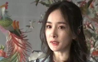 高清镜头下的明星网红,光影交织的美丽瞬间