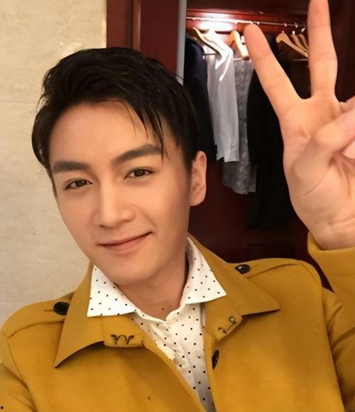 体制内明星网红有哪些,体制内明星网红现象解析