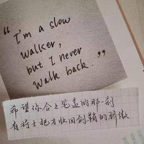 今日摘瓜文案句子图片唯美,唯美摘瓜瞬间
