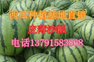 湖南沙漠瓜今日零售价,新鲜美味，价格实惠，快来尝鲜！