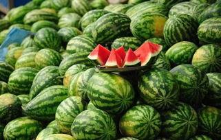 湖南沙漠瓜今日零售价,新鲜美味，价格实惠，快来尝鲜！