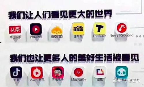今日头条卖瓜视频,揭秘瓜农的辛勤与智慧，带你领略田园风光