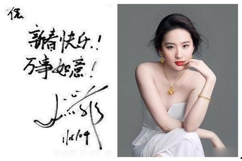 伊犁女明星网红有哪些,美丽与才华并存的璀璨之星