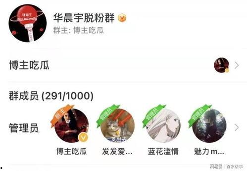 今日热搜蜜瓜,探索今日热搜蜜瓜的魅力