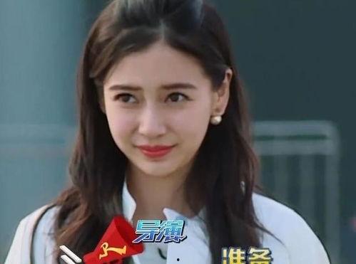 明星网红唱歌综艺有哪些,明星网红齐聚的歌唱综艺盘点