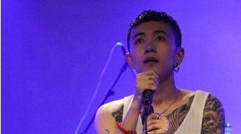 明星网红唱歌综艺有哪些,明星网红齐聚的歌唱综艺盘点