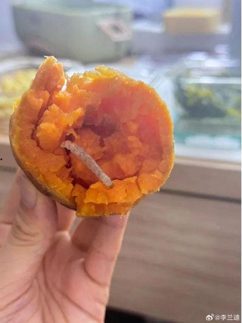 今日份晒瓜,娱乐圈新鲜爆料大盘点