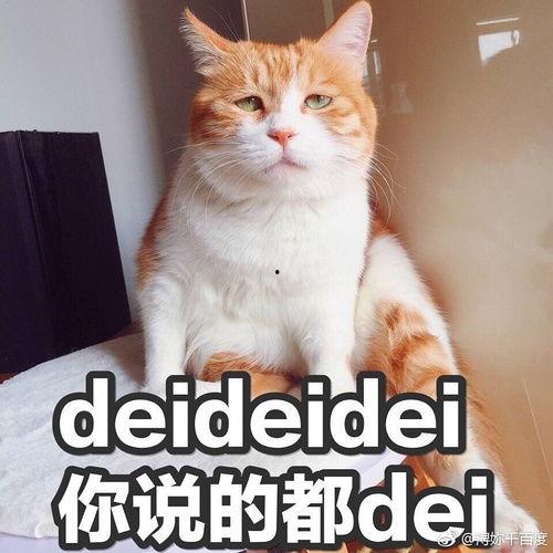 今日吃瓜感悟心得体会,感悟人生百态