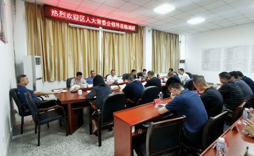 盐湖区乳瓜基地今日行情,丰收喜悦与市场动态一览