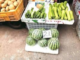 今日武汉瓜批发价格,今日价格行情一览