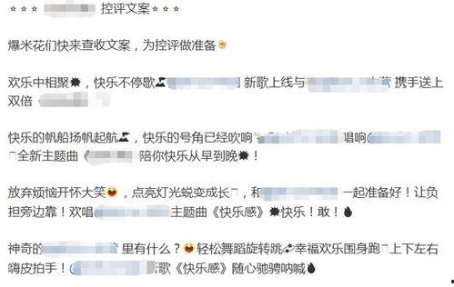 对明星网红的评论句子,网络舆论下的璀璨与争议