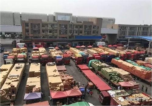嘉兴水果批发市场密瓜今日行情,价格波动与市场动态一览