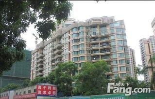 深圳明星网红住哪个小区,揭秘热门小区生活圈