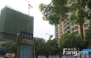 深圳明星网红住哪个小区,揭秘热门小区生活圈