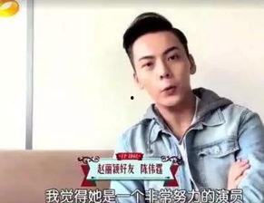 央视点名的明星网红,明星网红现象背后的影响力解析