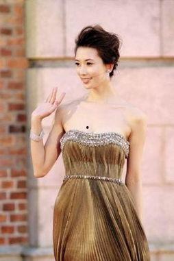 明星网红活动走红地毯,明星网红闪耀亮相