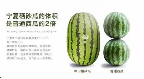 今日新发地硒砂瓜批发价,品质佳价优引关注”
