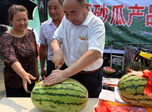 今日新发地硒砂瓜批发价,品质佳价优引关注”
