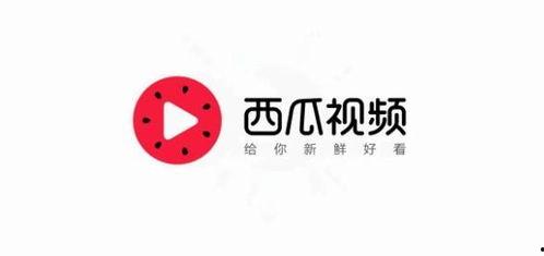 今日头条面瓜视频,揭秘今日头条热门短视频背后的故事