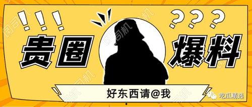 今日成都模特圈瓜是什么,揭秘幕后风云与时尚圈秘闻
