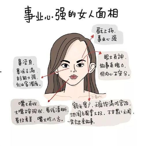 大明星网红漫画头像,揭秘大明星网红漫画头像背后的魅力