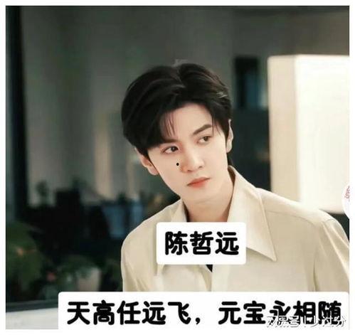 明星网红应援头像男的,男性偶像魅力瞬间捕捉