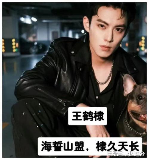 明星网红应援头像男的,男性偶像魅力瞬间捕捉