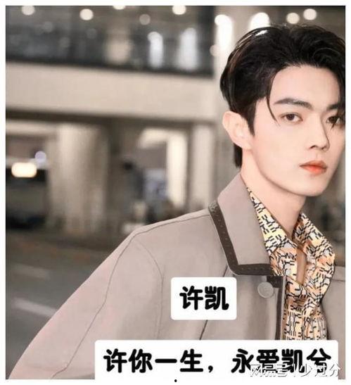 明星网红应援头像男的,男性偶像魅力瞬间捕捉