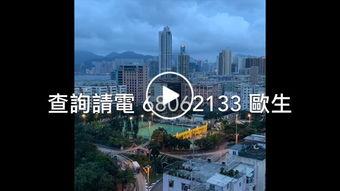 土瓜湾今日消息,今日热点事件速览