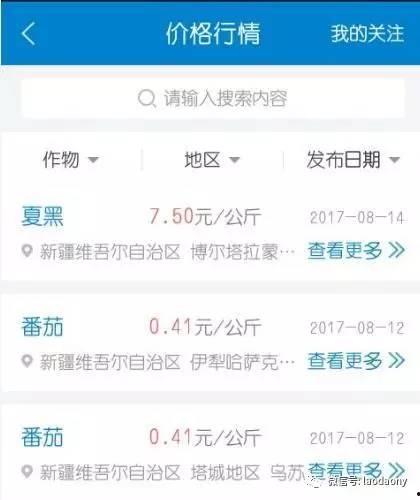 面瓜今日价格查询最新,今日行情一览”