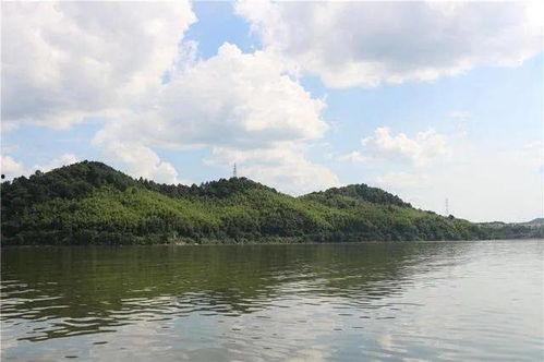 青山湖水上森林明星网红,网红打卡地，自然奇观魅力无限”