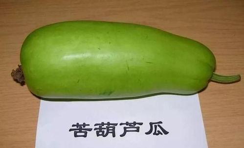葫芦瓜价格今日价,市场行情一览”