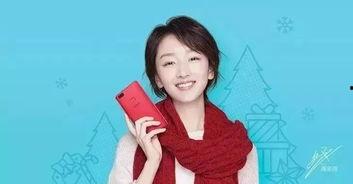徐闻有什么明星网红吗,探寻这座海滨城市的璀璨星辉