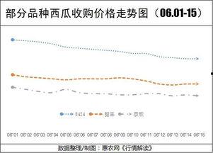 兰州今日瓜价行情走势,今日瓜价走势解析
