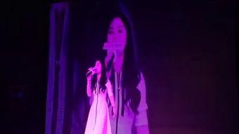 河南明星网红大会视频,汇聚璀璨星光，共绘网络新篇章