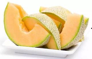 今日热点榜哈密瓜,哈密瓜成为今日热点，揭秘其魅力所在
