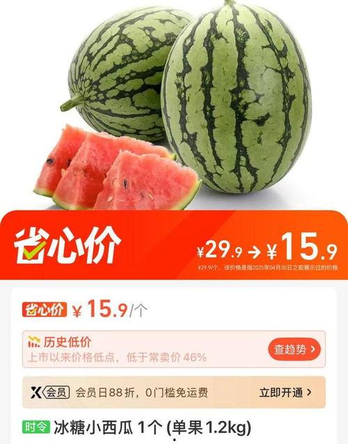 美都麒麟瓜今日行情,价格波动与市场动态一览