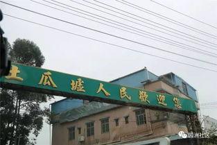 今日关注园洲土瓜圩新闻,探寻传统圩市新风采