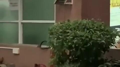 南宁今日吃瓜新闻