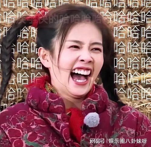 表情包明星网红是谁,揭秘网络红人的魅力与影响力