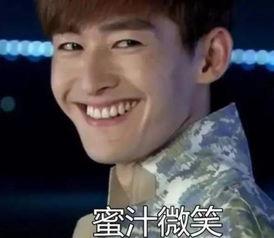 表情包明星网红是谁,揭秘网络红人的魅力与影响力