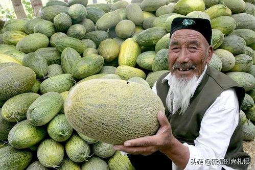 南宁海吉星新疆哈密瓜今日报价表,新疆瓜果新鲜上市，价格行情一览