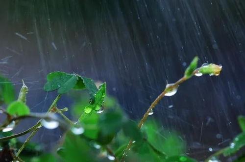 今日的雨就像瓜尔佳氏雨,今日奇观下的自然奇景解读