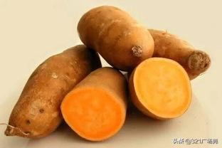 四平地瓜今日价格,实惠之选，品质生活新体验