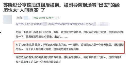 追缴明星网红税款违法吗,法律边界与违法风险探讨