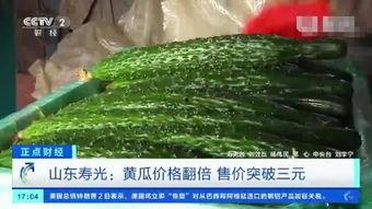 寿光籽瓜今日价格行情,价格波动解析